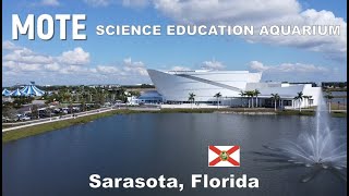 Celebrity The New Mote Aquarium Sarasota – Stunning 4K Cinematic Tour (Captions + Great Music) Net Worth