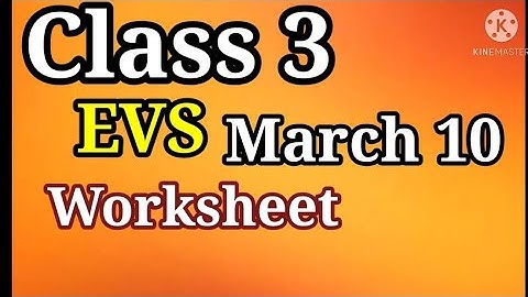 STD/ 3/EVS/VICTERS CLASS WORK SHEET/MARCH/10/ 2021/