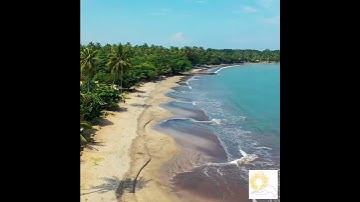 Mortimer’s Disease | Shadowed Bloom | Tending the Rare Garden of Skin