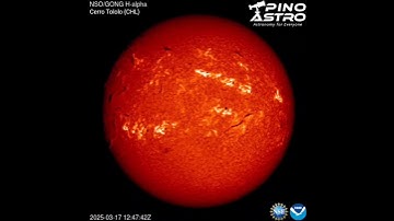 Daily Sun: St Patrick