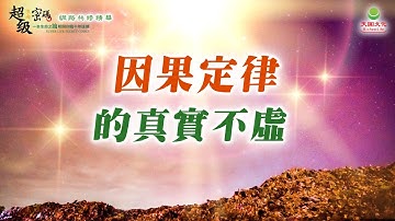 因果定律的真實不虛｜太陽盛德導師–超級生命密碼網路共修精華