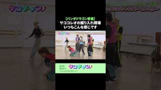 【パンダドラゴン密着】サココレオの振り入れ現場いつもこんな感じです #サココレオ