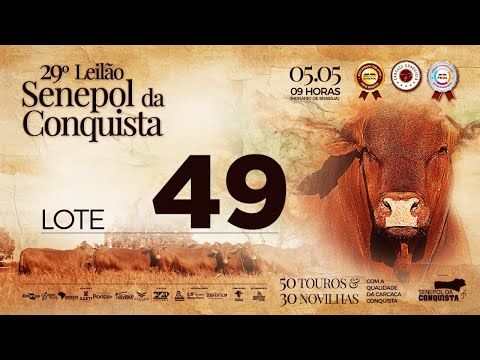 LOTE 49 CONQ 2660