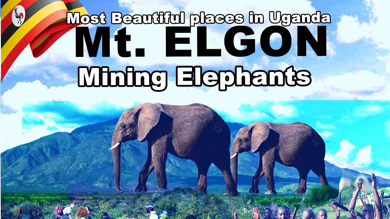 MOUNT ELGON NATIONAL PARK in the Top 10 Most Beautiful places in Uganda  Ep 4