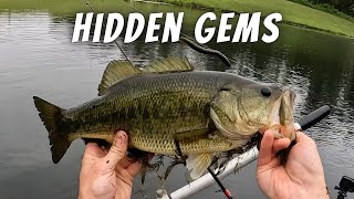 Searching for Forgotten Honey Holes Deep in the Backcountry (Google Maps Fishing)