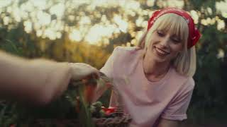 Via Profi Stergem Traditia De Praf