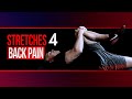 3 BEST Stretches For Lower Back Pain Relief!