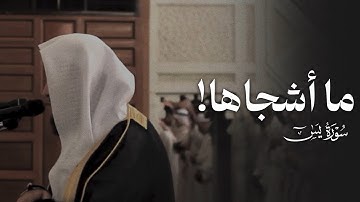 ما أشجاها! | تلاوة مؤثرة من سورة يسٓ للشيخ محمد خليل القارئ -رحمه الله-.