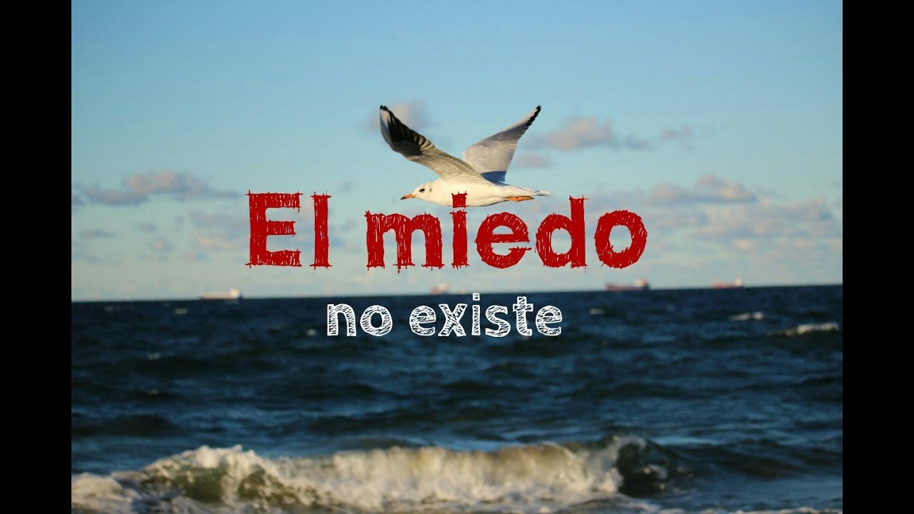 miedo a las alturas CONSEJOS PARA VENCER EL MIEDO. Domingo XII del Tiempo Ordinario, ciclo A (Mt 10,26-33)