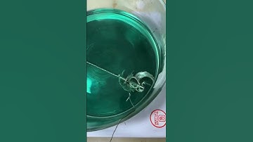 Trâm cài tóc tự vệ thú vị  #tramcaitoc #buitoc #tramcotrang #tramtuve