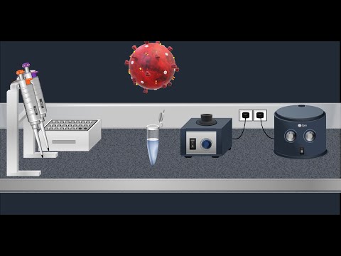 Видео: Информация за бързи молекулярни изследвания, RT-PCR и други молекулярни анализи за диагностика на грипна вирусна инфекция
