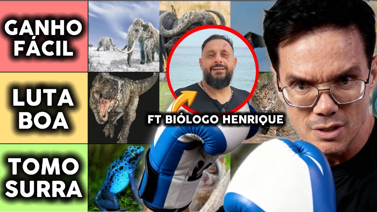 ANIMAIS QUE EU VENCERIA NO SOCO (TIERLIST 100% CIENTÍFICA) ft 