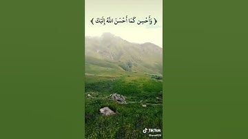 تلاوة عطرة من آيات الذكر الحكيم