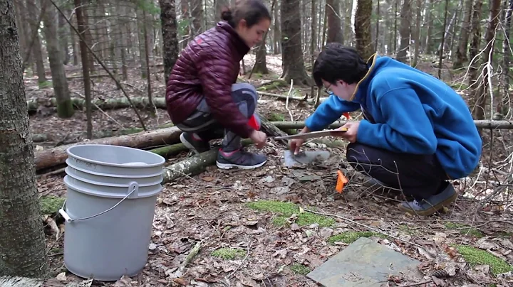 In it for the Long Term: Tracking Salamanders Over Time