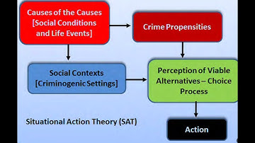 Neuroscientific Basis of Situational Action Theory