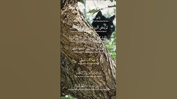 سورة البينة - Surah Al-Bayyinah (The Clear Evidence) by Mishary Rashid Alafasy