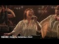 &quot;Goodbye To Love&quot; Carpenters Tribute Live