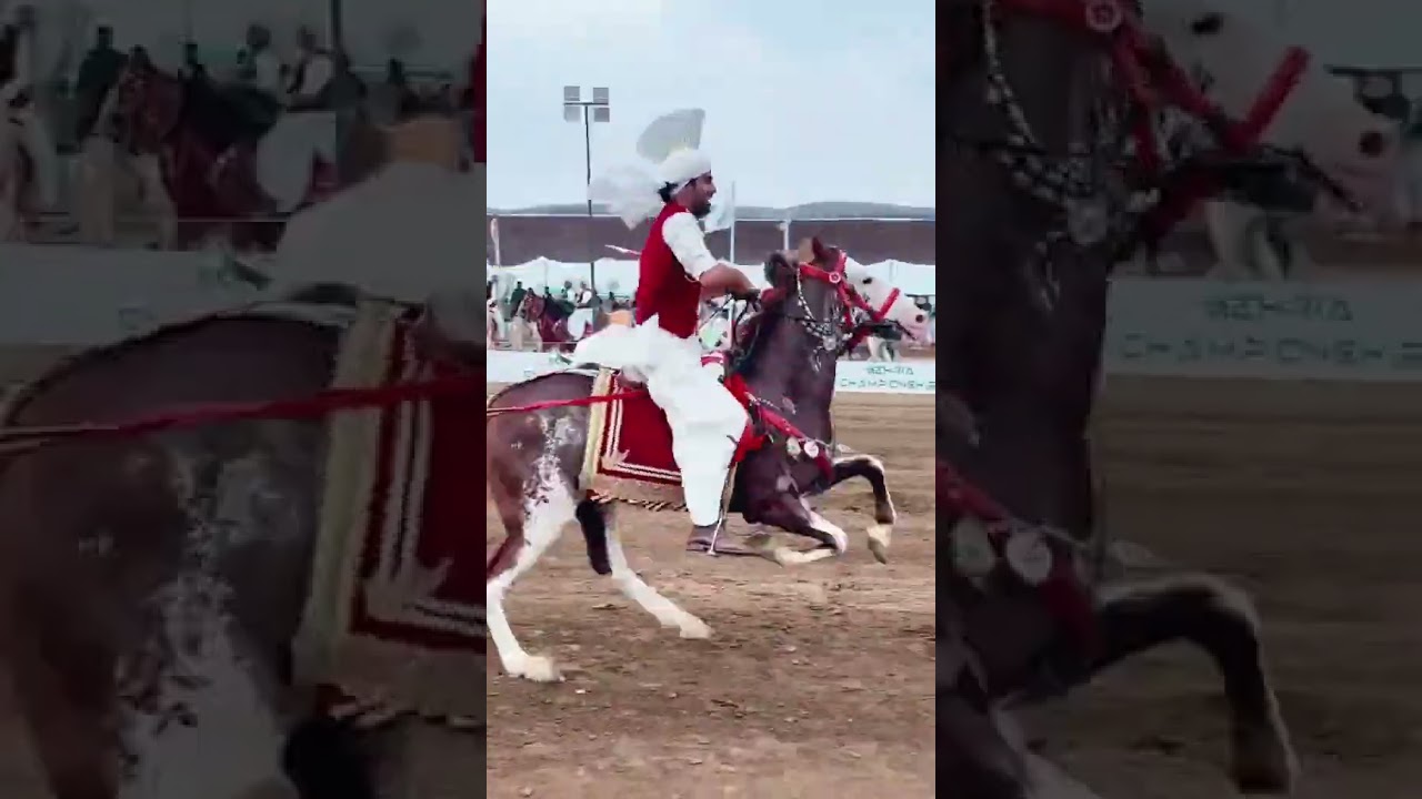 Neza Bazi F9 Park Islamabad 2023 | Day First | Tent Pegging Championship 2023 |Ghousia Hamdania Club