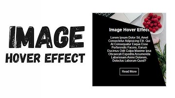 Modern Image Hover Techniques | CSS Only