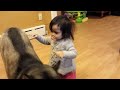 Baby Loves Siberian Husky Dog!