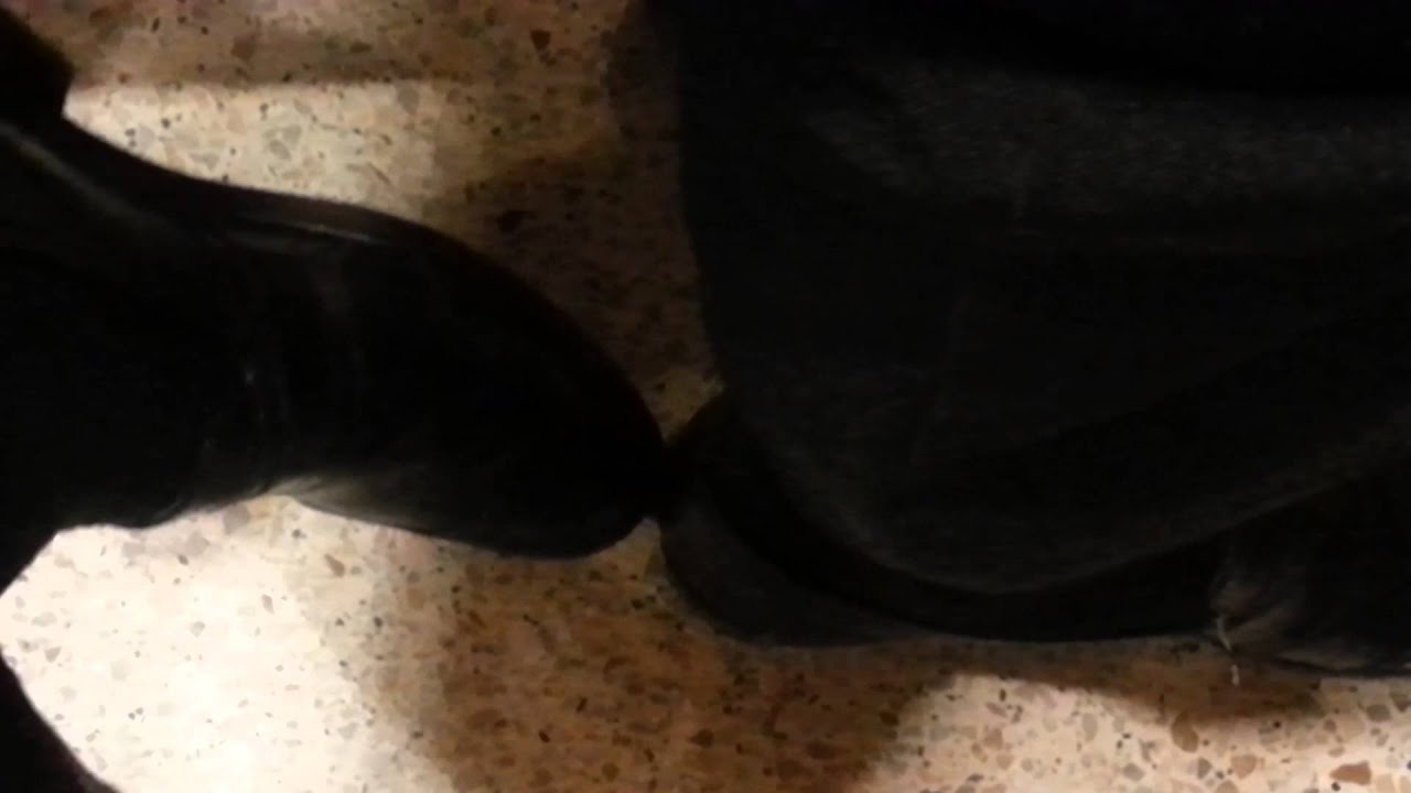 Shoe change with black socks