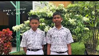 Tugas Kokurikuler Informatika | green city | Pengolahan baby kailan #spansa