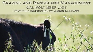 Grazing and Rangeland Management- Intro to Beef