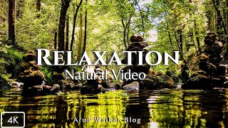 Ultimate Relaxation Soothing Nature Film with Peaceful Relaxing Music,  Nature Video in Ultra HD