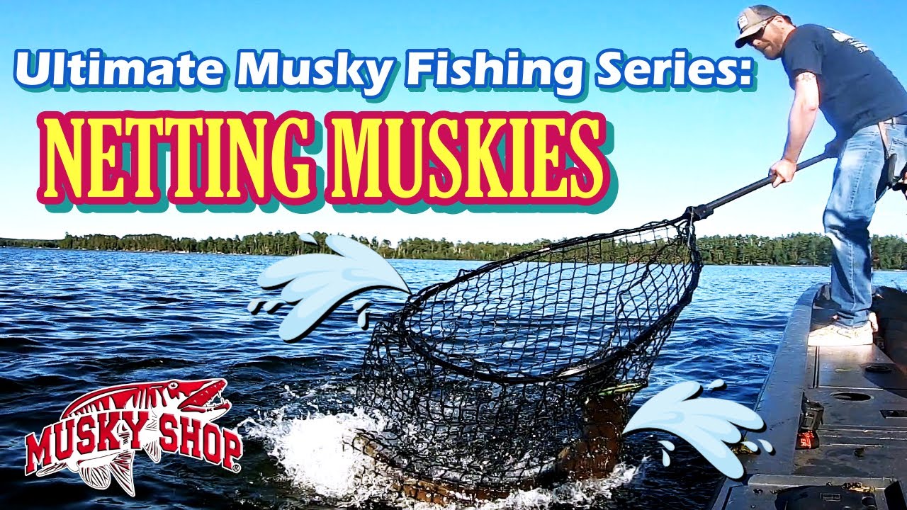 corporate clash better fishing pole TOONTOWN CORPORATE CLASH: HOW TO UPGRADE YOUR FISHING ROD!?