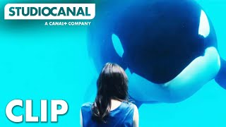 Rust & Bone | Meeting A Whale | Starring Marion Cotillard