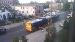Live Queens NY Evening Q77 Q111 Q114 & Q113 MTA Bus Service at Night time 8/28/25