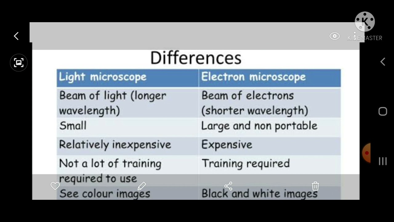 what are the differences between light microscopes and electron microscopes