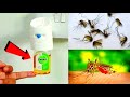 Very  Simple  || JUST ONE MINUTE || KILL MOSQUTIOS IN ONE MUNUTES ||MR MAKER