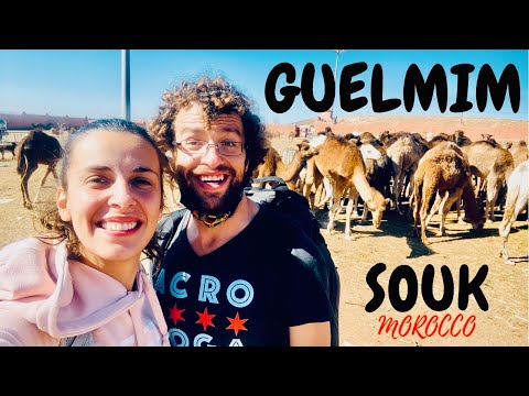 Guelmim, CAMEL BURGER at Morocco Camel Souk, Moroccan Street Food: GATEWAY TO Moroccan SAHARA