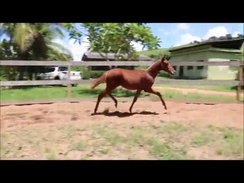 Malvada Vale do Para&iacute;so