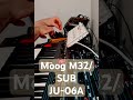 Techno Trance Dawless #analogsynth #synth #electronicmusic #sequential #moog
