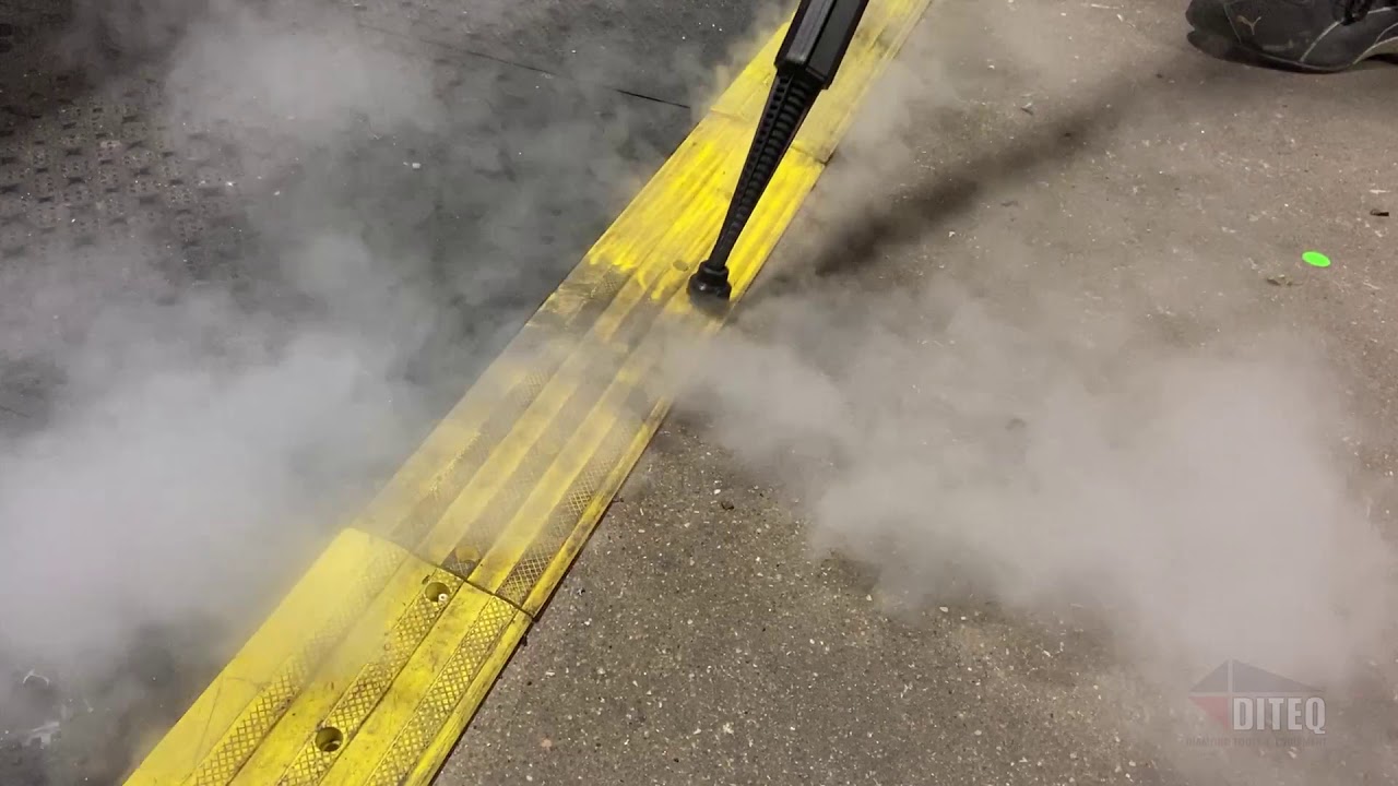 DITEQ Steam Cleaner 115v Portable