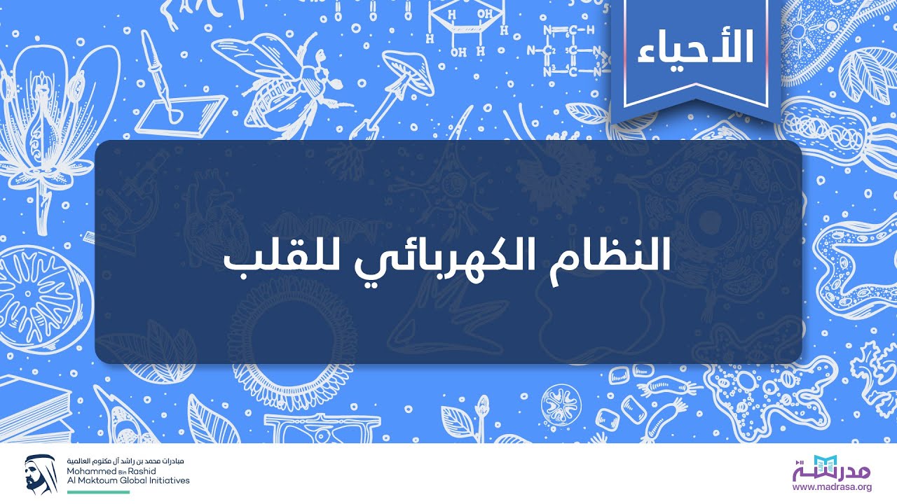 النظام الكهربائي للقلب | الأحیاء | فسیولوجیا الجهاز الدوري المتقدمة