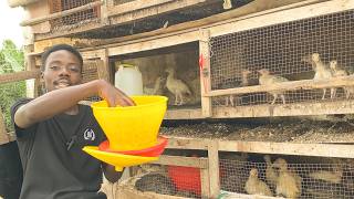 What Actually is a Turkey Feeder
