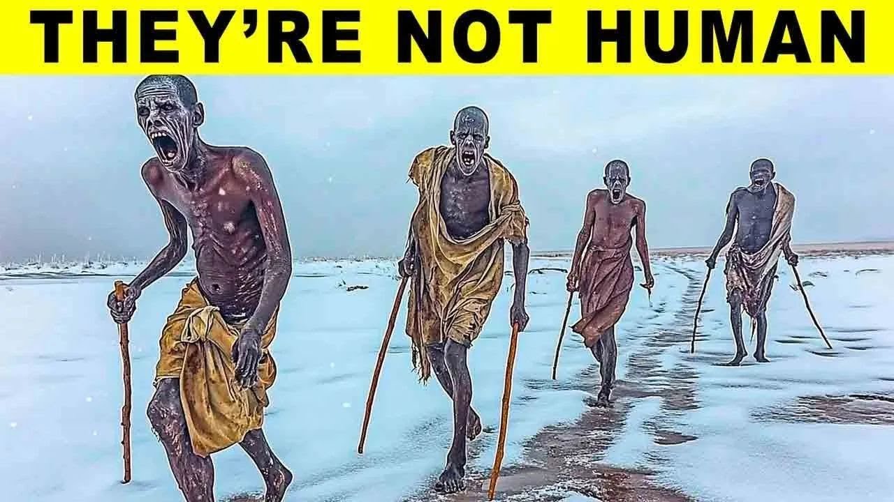 This Tribe In The Arctic Has SHOCKED Researchers