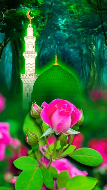 PLEASE LIKE KARDO 🌊🌹👌