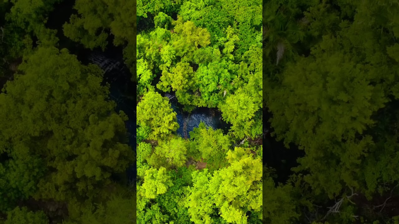 Hoyo claro en punta cana ! 