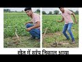 Khet men nikal aaya saanp very Dangerous king cobra snake farming full vlog on youtube per