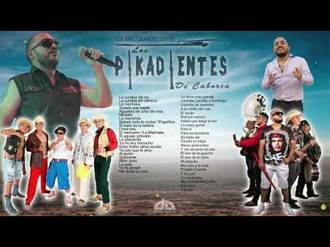 Los Pikadientes De Caborca - Vamonos pa'l río - Reviews - Album of The Year