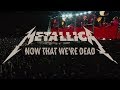 Metallica now that were dead official music ii