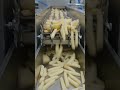 “From Potato to French Fries 🍟 Full Factory Process!”