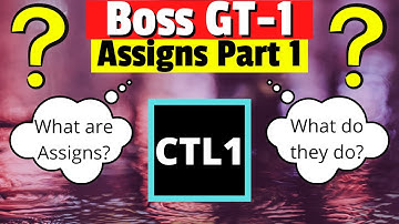 Boss GT-1 Assign Tutorial | What are Assigns? | Walkthrough in Boss Tone Studio