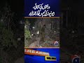 Tree Cutting Caught on Camera | Workers Flee After Seeing Geo News Team | Geo News