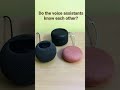 Google Assistant vs Alexa vs Siri | How do they respond about other voice assistants | #Shorts