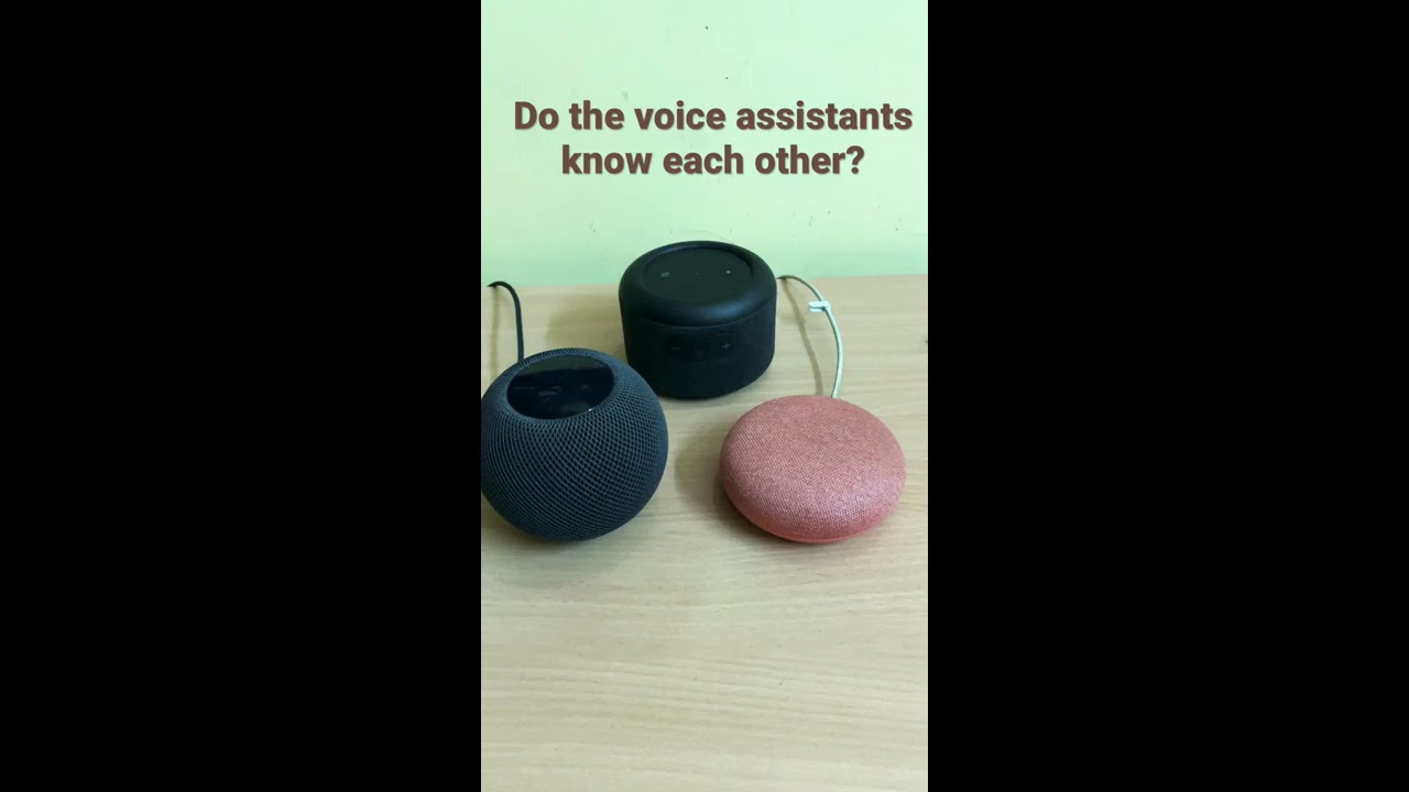 Google Assistant Vs Alexa Siri How Do They Respond About Other Voice Assistants Shorts